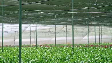 The Compliance Bundle Clients Love: FR, Tensile, Test Reports for Sunshade Nets